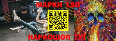 шишки Будённовск