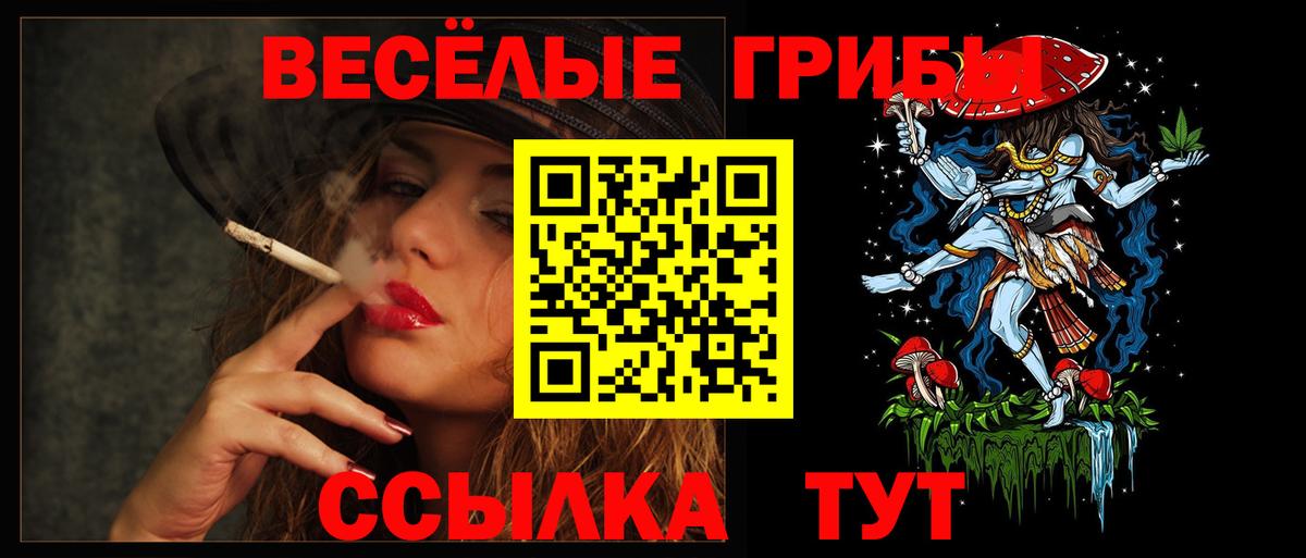 Корсаков  Псилоцибиновые грибы мухоморы  Псилоцибиновые грибы прущие грибы  Вход с VPN 